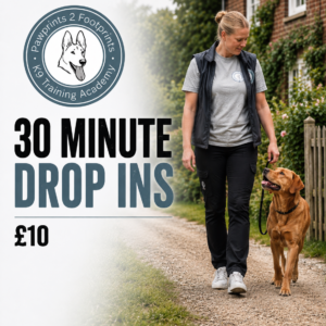 30 Minute Drop In