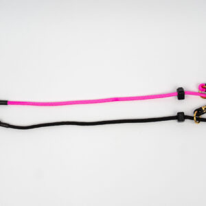 6mm Training Collar