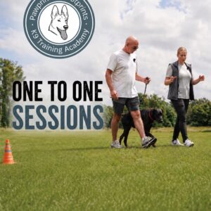 One To One Training Sessions