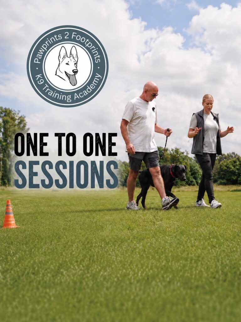 One To One Training Sessions