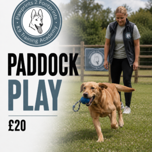 Paddock Play
