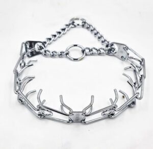 Prong Collar
