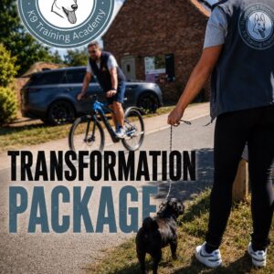 Transformation Package