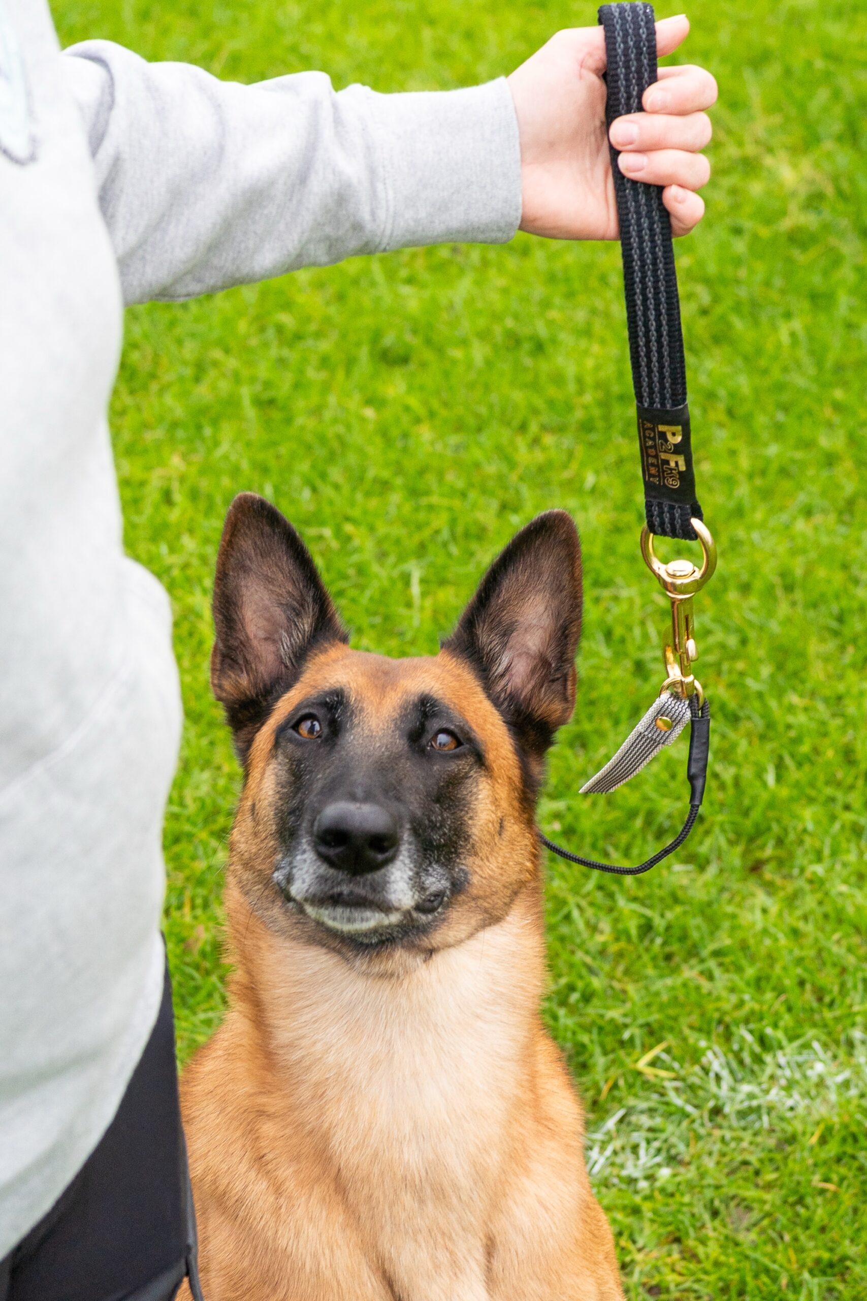 4mm Training Collar - Image 4