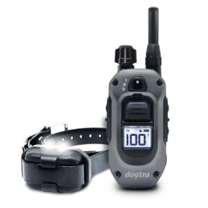 Dogtra 640X