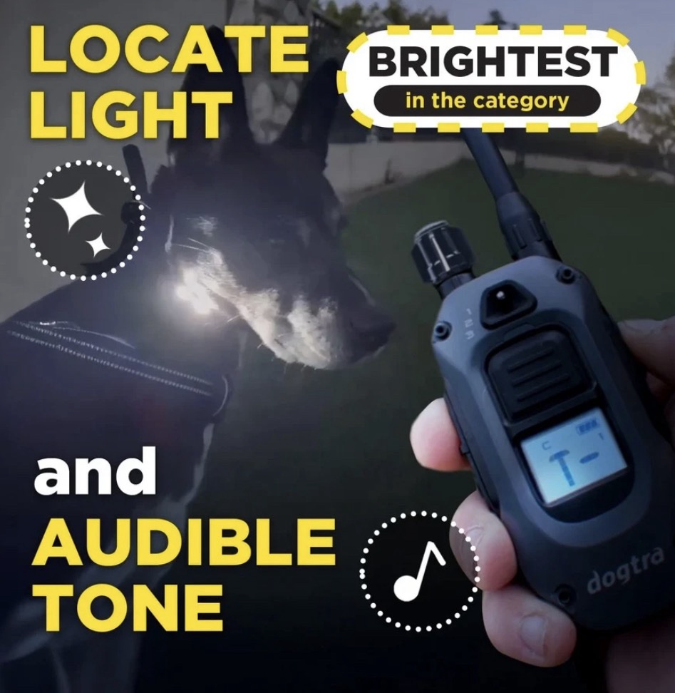 Dogtra 640X - Image 2